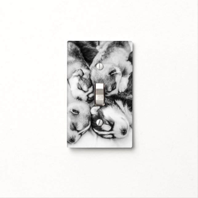 sleeping husky pups light switch cover (In Situ)