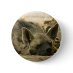 Sleeping Hyena  Button