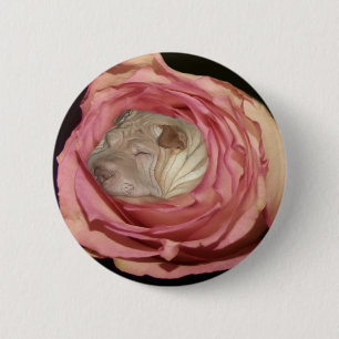 Sleeping in a Pale Pink Rose, Chinese Shar Pei Dog Pinback Button