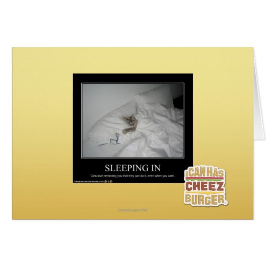 Sleeping In Cards (Front Horizontal)
