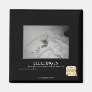 Sleeping In Magnet
