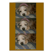 sleeping in seattle (Front)