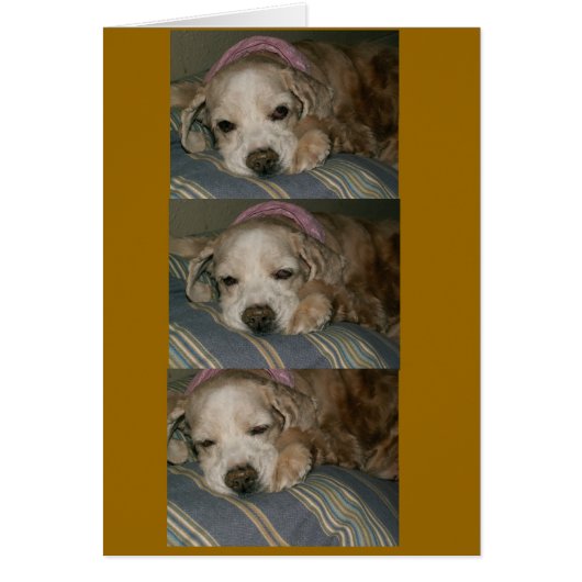 sleeping in seattle cards (Front)