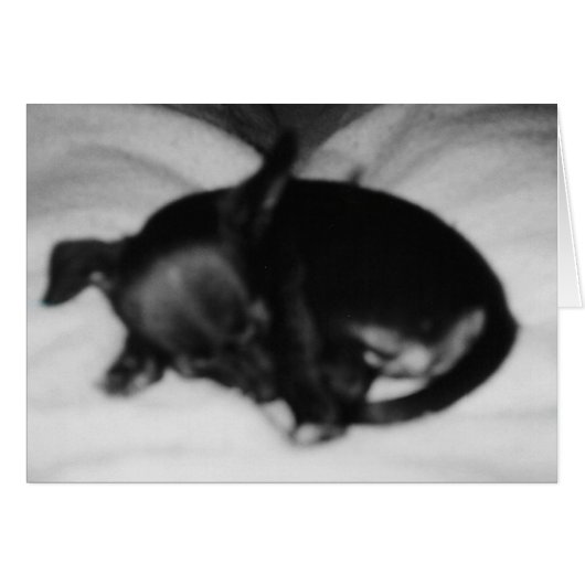 Sleeping Innocence (Front Horizontal)