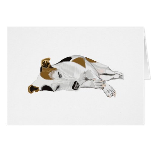 Sleeping Jack Russell