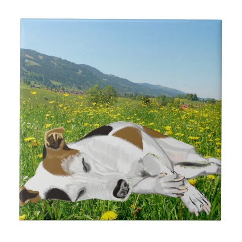 Sleeping Jack Russell in a colourful flower Meadow Ceramic Tile