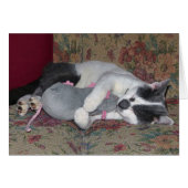 Sleeping Kitten (Front Horizontal)