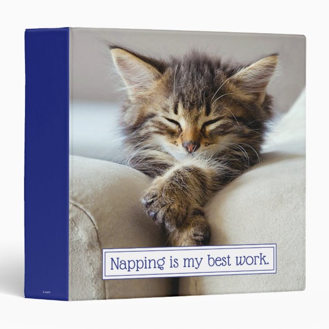 Sleeping Kitten 3 Ring Binder (Front/Spine)