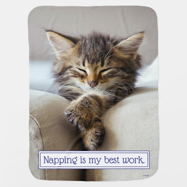 Sleeping Kitten Baby Blanket (Front)