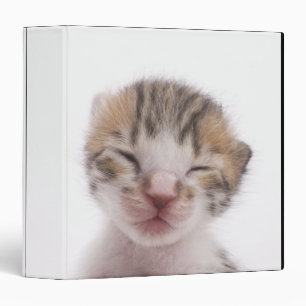 Sleeping kitten binder