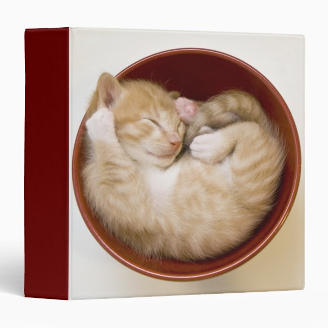Sleeping Kitten Binder (Front/Spine)