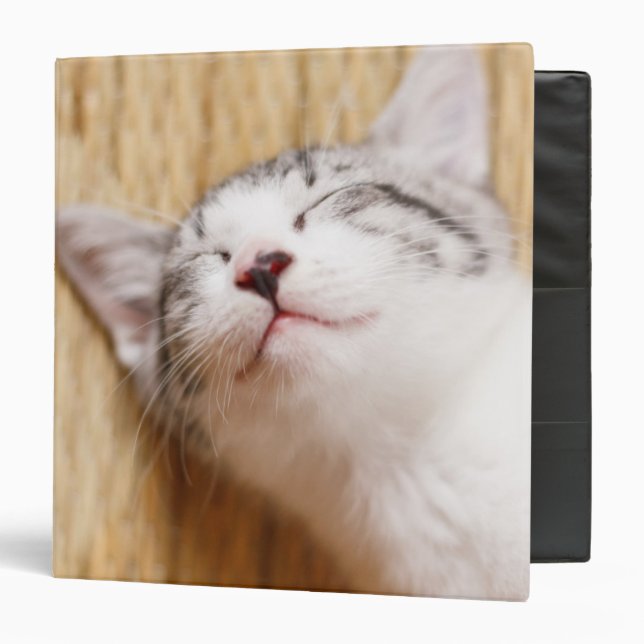 Sleeping Kitten Binder (Front/Inside)
