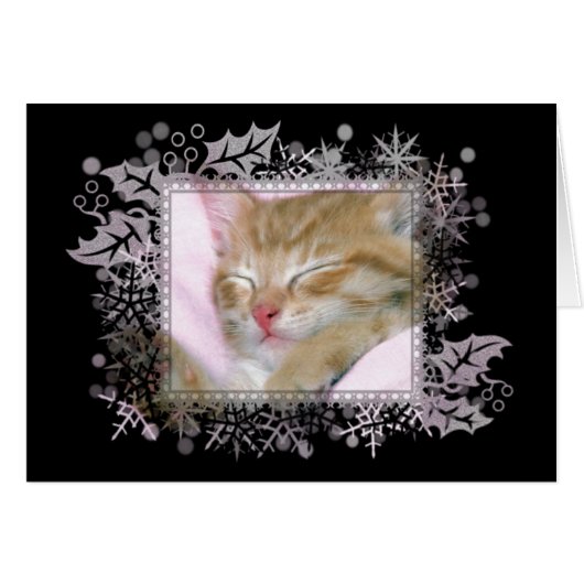 Sleeping Kitten Blank Greeting Card (Front Horizontal)