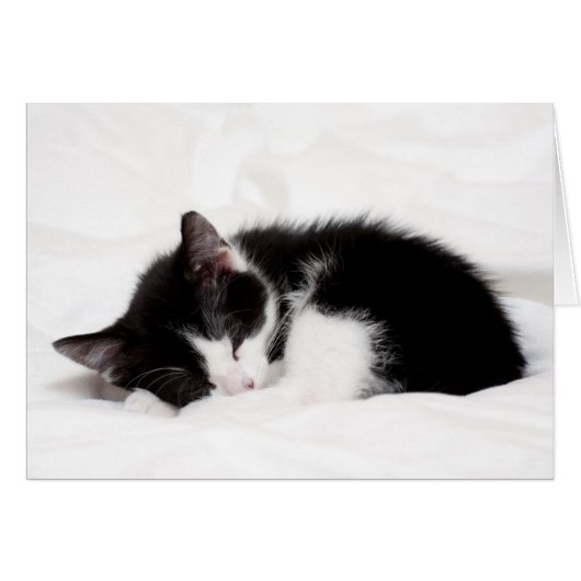 Sleeping Kitten Cards (Front Horizontal)
