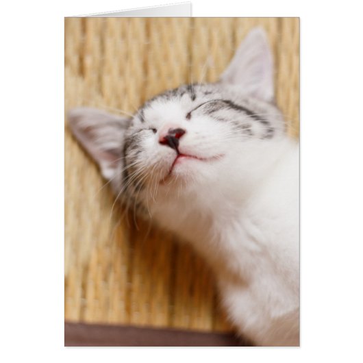 Sleeping Kitten Cards (Front)