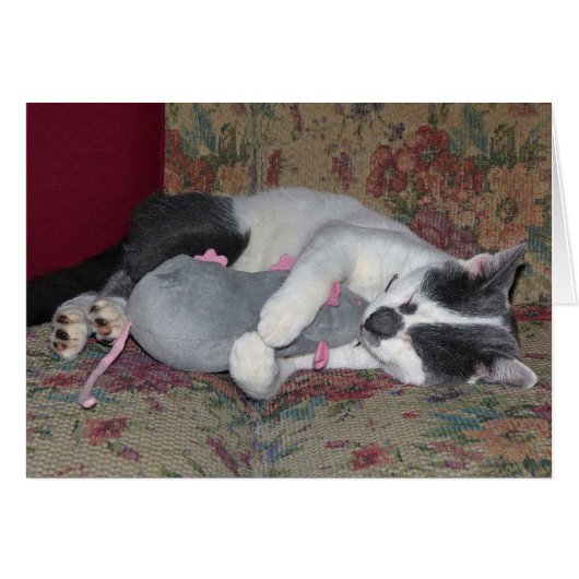 Sleeping Kitten Cards (Front Horizontal)