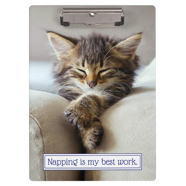 Sleeping Kitten Clipboard (Front)