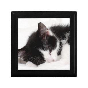 Sleeping Kitten Gift Box