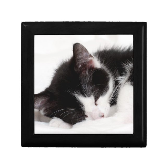 Sleeping Kitten Gift Box (Front)
