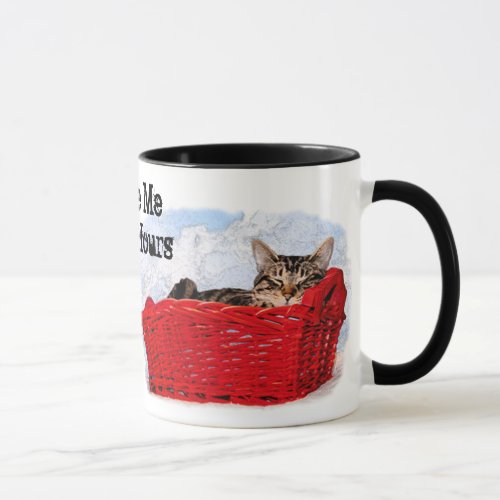 Sleeping Kitten In Bright Red Basket Mug