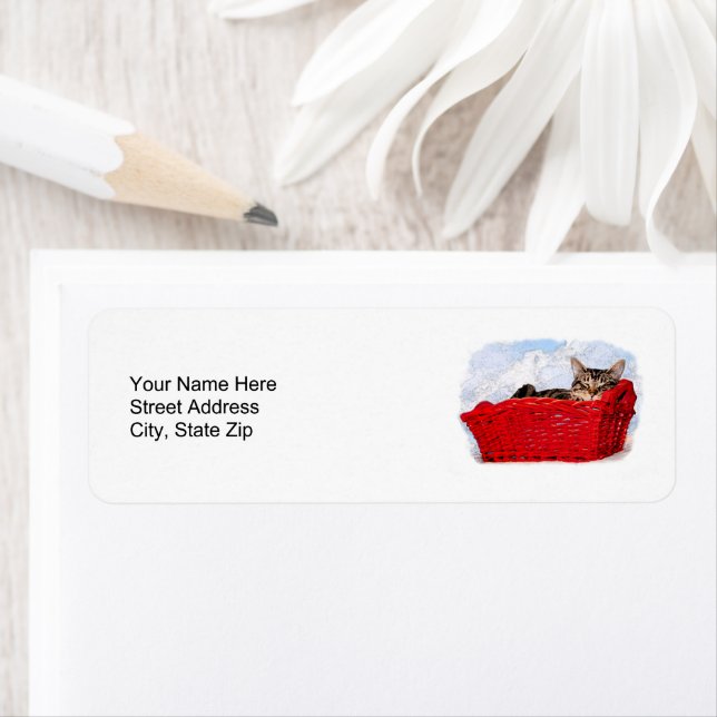 Sleeping Kitten In Bright Red Basket Personalized Label (Insitu)