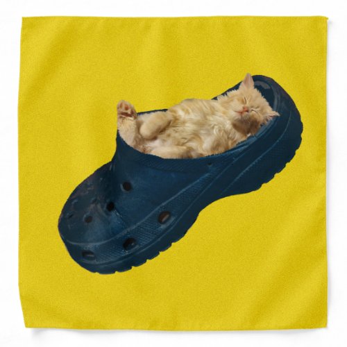 Sleeping Kitten In Croc Shoe Bandana