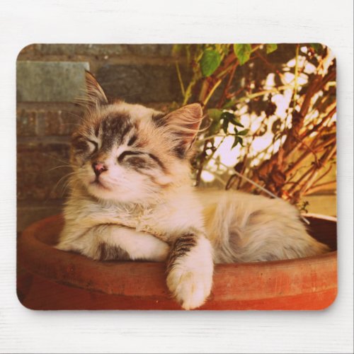 Sleeping Kitten in Pot Mouse Pad