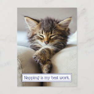 Sleeping Kitten Invitation Postcard