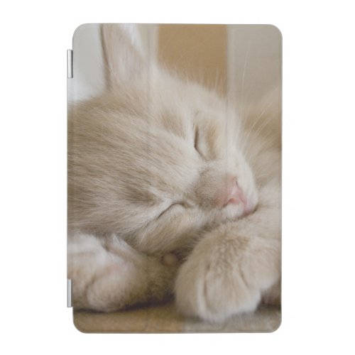 Sleeping Kitten iPad Mini Cover