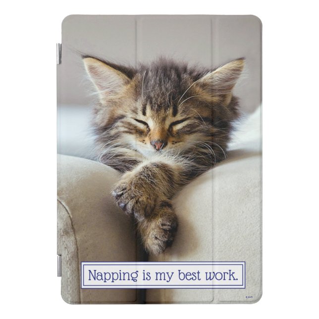 Sleeping Kitten iPad Pro Cover (Front)