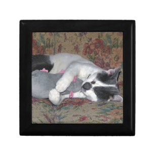 Sleeping Kitten Jewelry Box