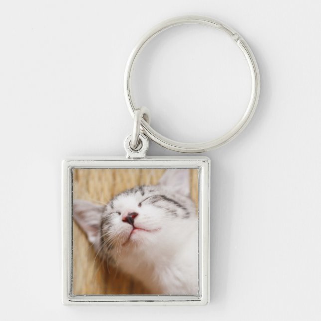 Sleeping Kitten Keychain (Front)