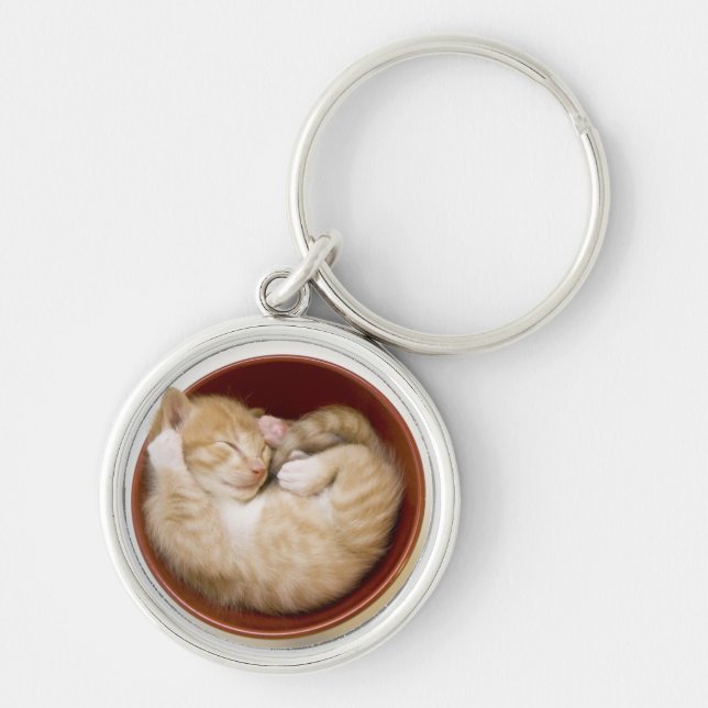 Sleeping Kitten Keychain (Front)