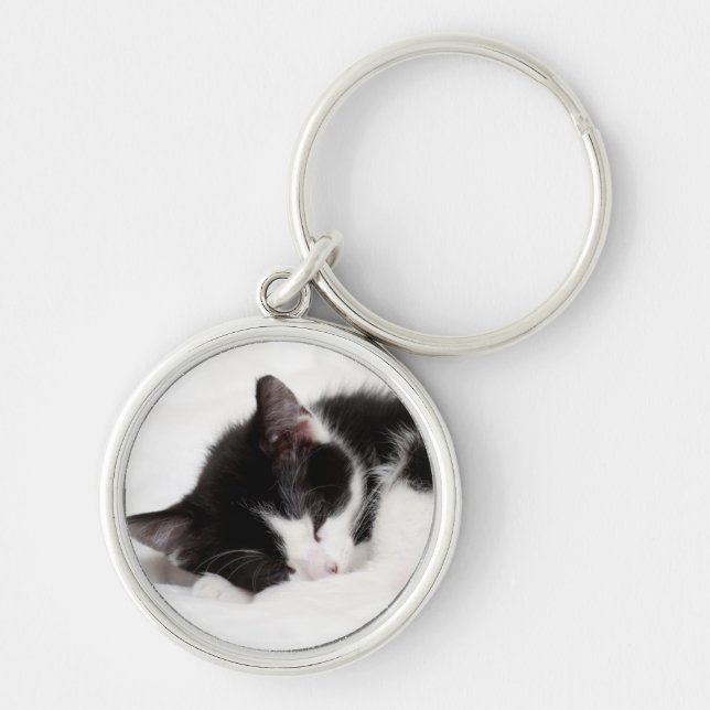 Sleeping Kitten Keychain (Front)