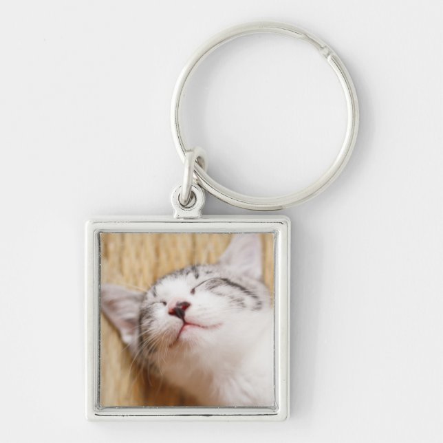 Sleeping Kitten Keychain (Front)