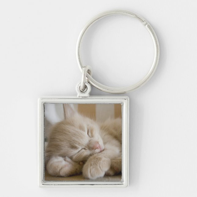 Sleeping Kitten Keychain (Front)