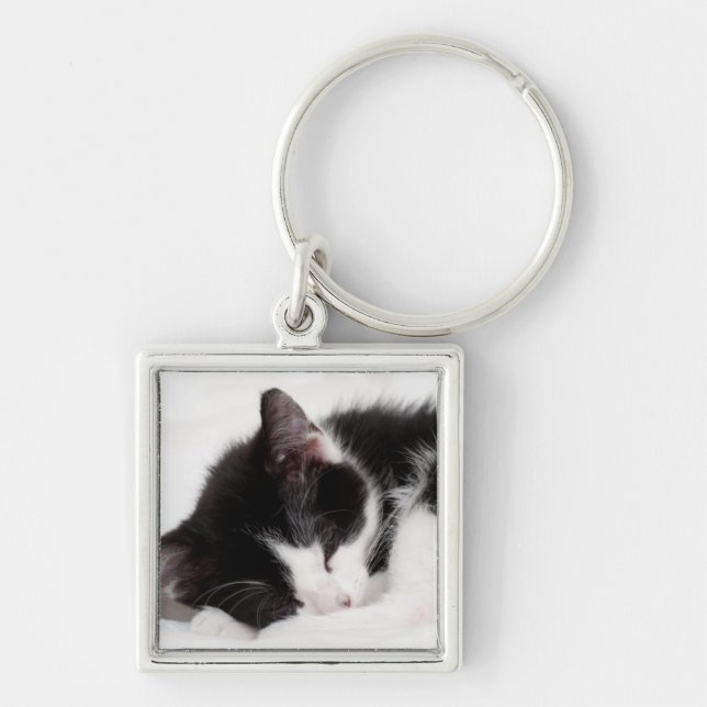 Sleeping Kitten Keychain (Front)