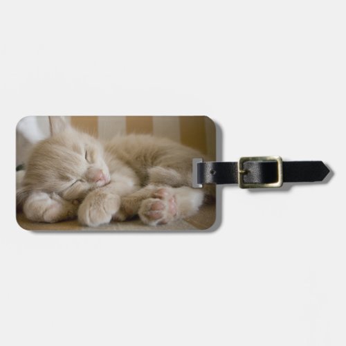 Sleeping Kitten Luggage Tag