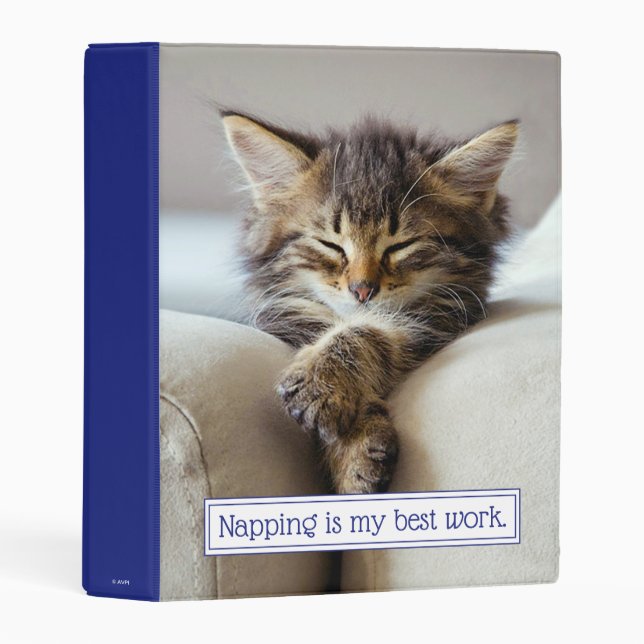 Sleeping Kitten Mini Binder (Front/Spine)