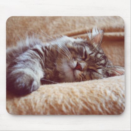 Sleeping Kitten Mouse Pad