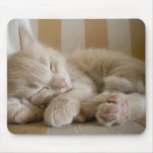 Sleeping Kitten Mouse Pad
