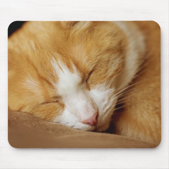 Sleeping Kitten Mouse Pad (Front)