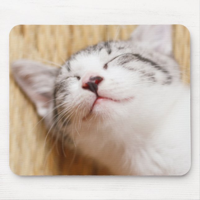Sleeping Kitten Mouse Pad (Front)