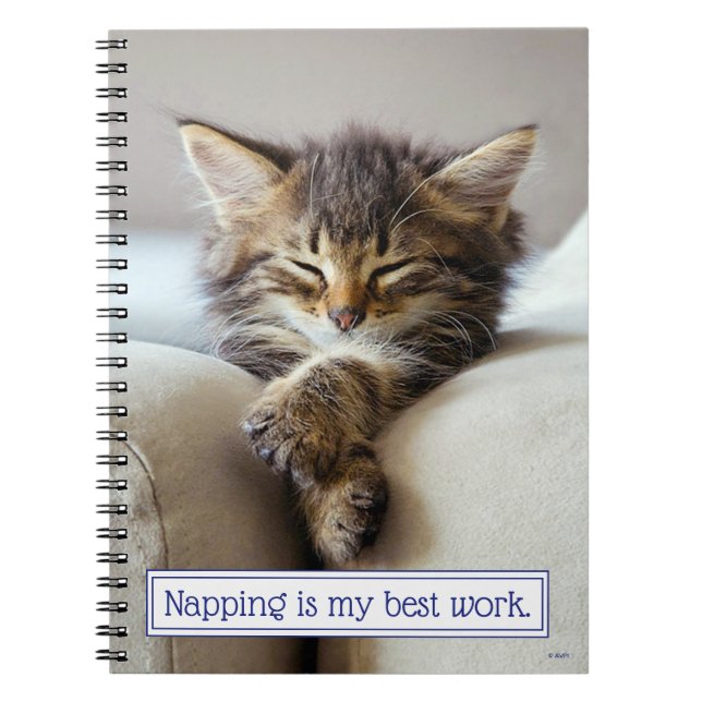 Sleeping Kitten Notebook (Front)
