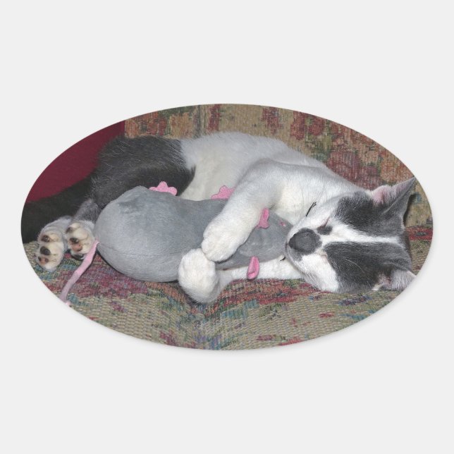 Sleeping Kitten Oval Sticker (Front)
