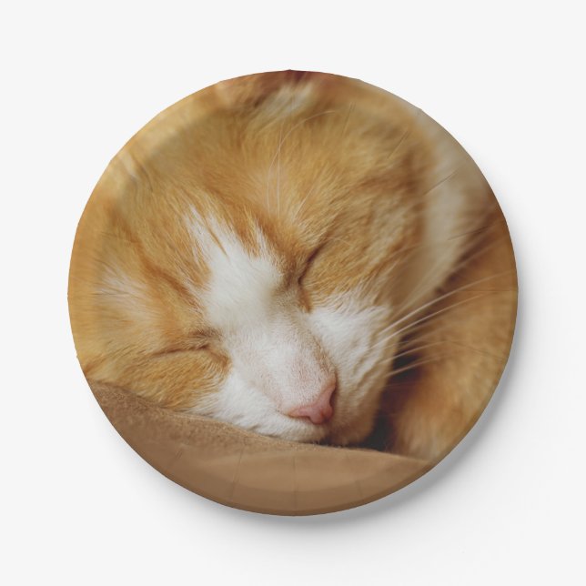 Sleeping Kitten Paper Plates (Front)