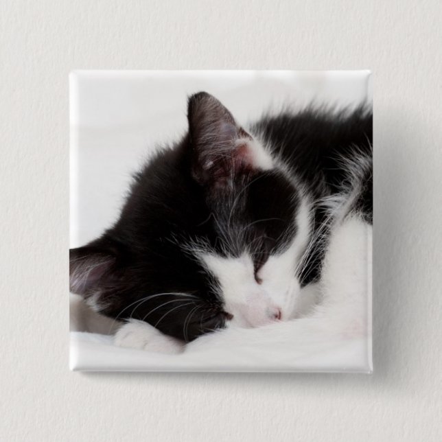 Sleeping Kitten Pinback Button (Front)