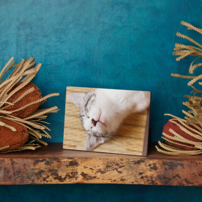 Sleeping Kitten Plaque (Side)