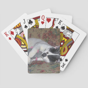 Sleeping Kitten Poker Cards