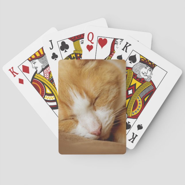 Sleeping Kitten Poker Cards (Back)